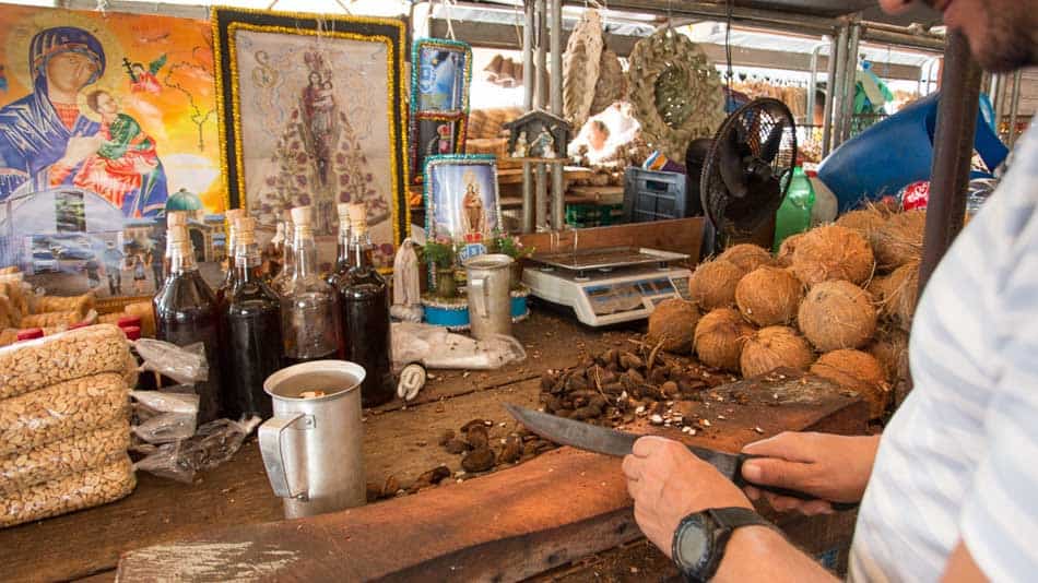 Dica do que fazer em Belém: quebrador de castanha do Brasil