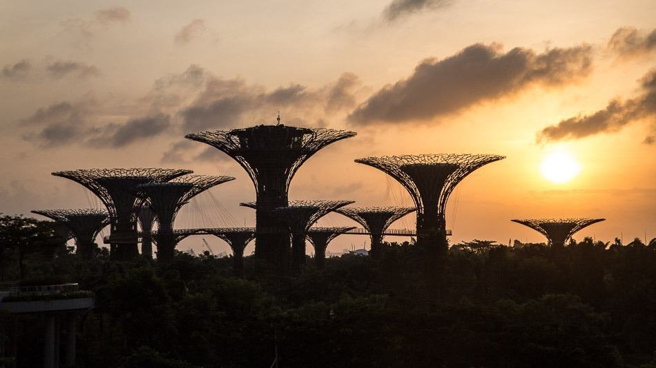 Amanhecer com vista para o Gardens by the bay em Singapura