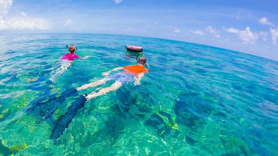 Snorkel nas Floridas Keys