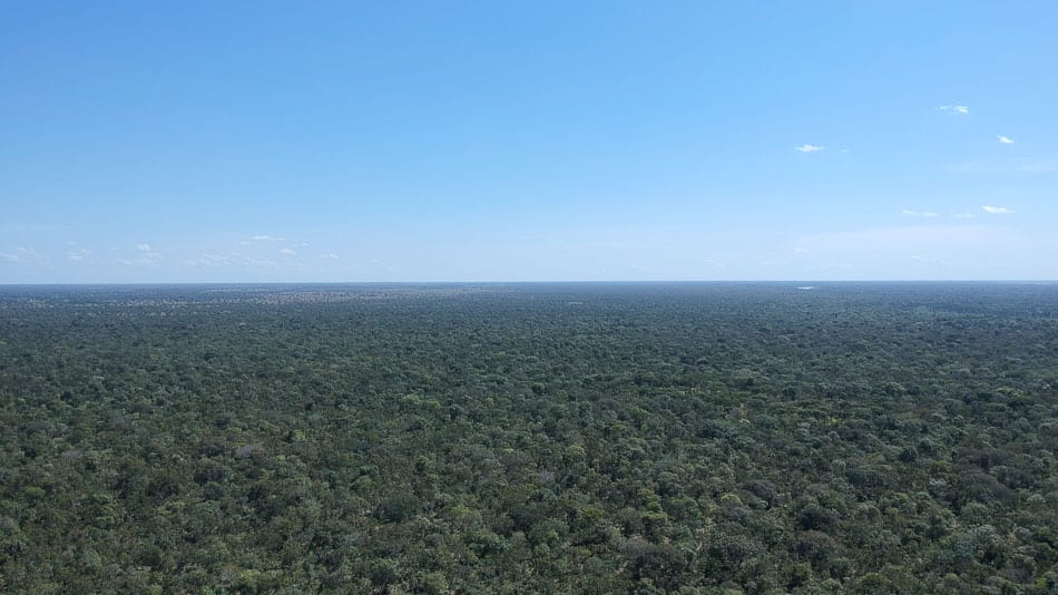 Vista aérea da Ilha do Bananal, no Tocantins