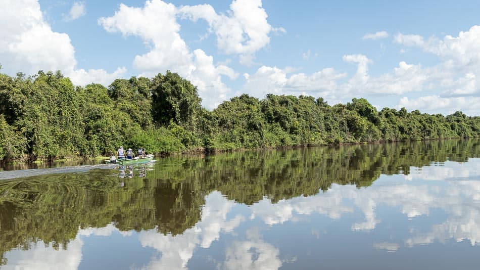 Parque Estadual do Cantão: o que fazer no Tocantins além do Jalapão