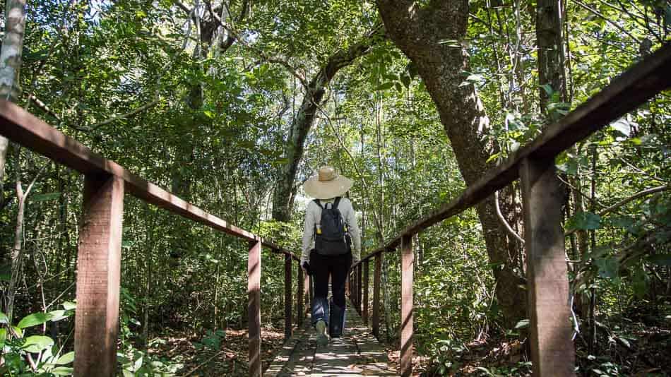 Trilha no Parque Estadual do Cantão