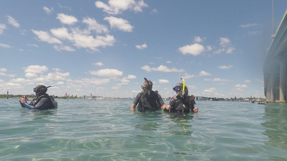 Aula prática para mergulho em Palm Beaches