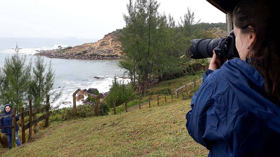 Dicas para fotografar baleias em Santa Catarina