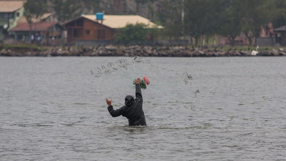 Tradicional pesca com botos em Laguna, SC