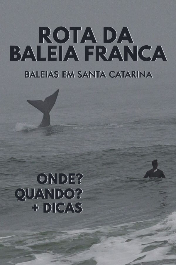 Saiba tudo sobre a Rota da Baleia Franca. Como chegar, onde ficar, e todas as dicas práticas para ver baleias em Santa Catarina!