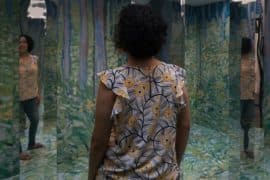 exposicao-van-gogh-sp-bosque-espelhos