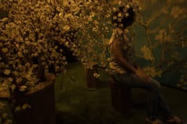 exposicao-van-gogh-sp-sala-amendoeira