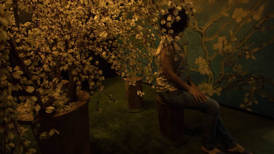 Exposição imersiva Van Gogh em SP