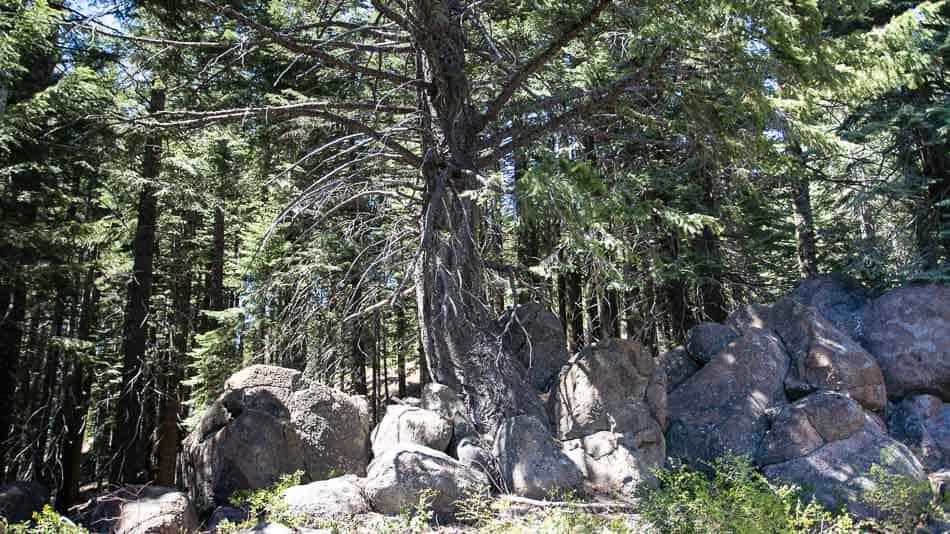 Local para meditação no Mt. Shasta, no norte da Califórnia