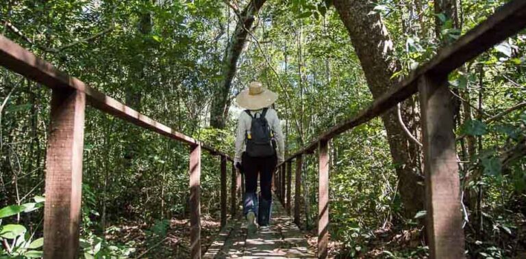 Seguro viagem no Brasil: 5 dicas e motivos para contratar