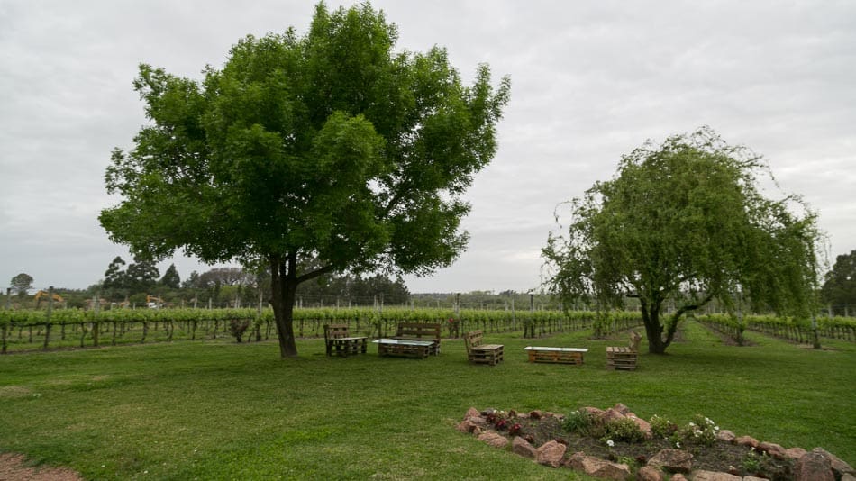 Vinícolas no Uruguai: Antigua Bodega