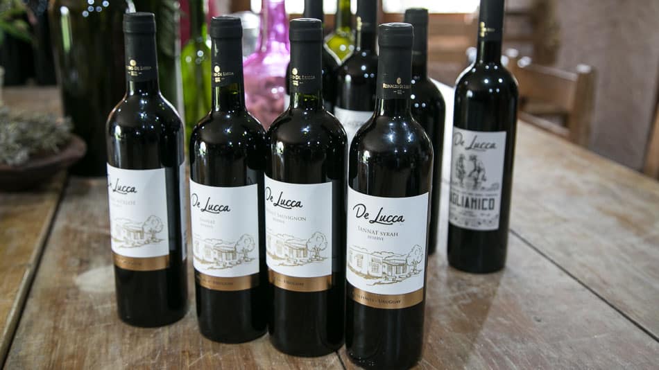 Vinícolas no Uruguai: De Lucca