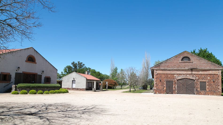 Vinícolas no Uruguai: Juanico