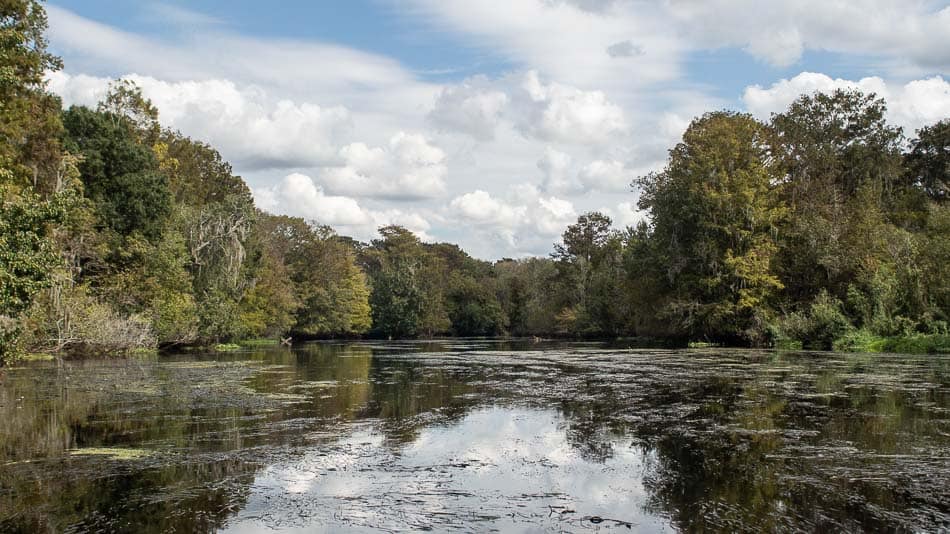 Passeio de airboat na Flórida: rio Withlacoochee