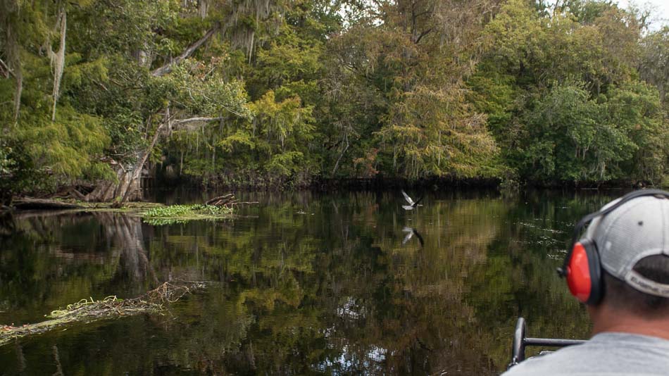 Passeio de airboat no Flórida: rio Withlacoochee