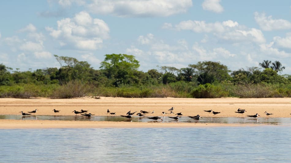 Praia no rio Araguaia, no Tocantins