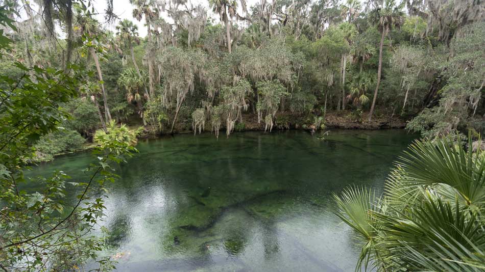 Água cristalina no Blue Spring Park