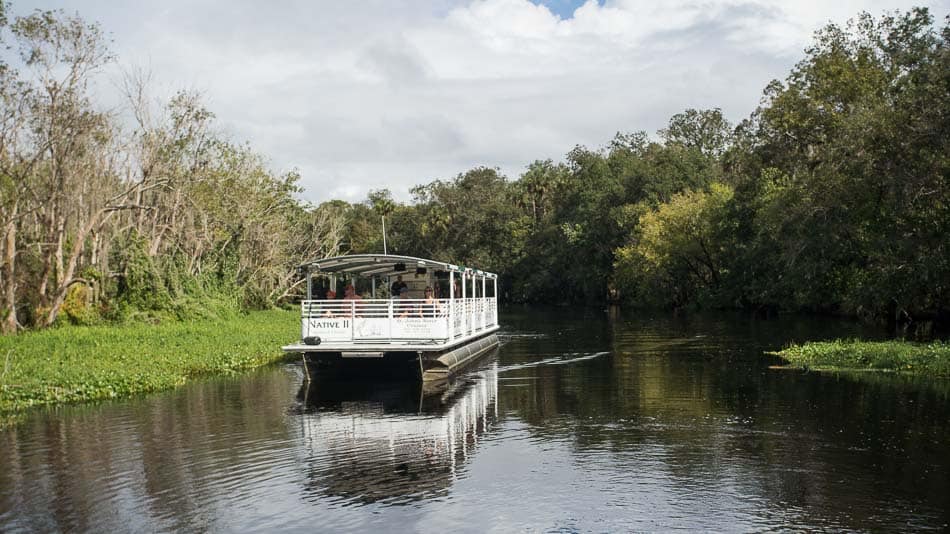 O que fazer em West Volusia: passeio de barco no rio St. John's