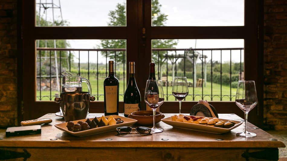 Vinícolas no Uruguai: Degustação na Antigua Bodega