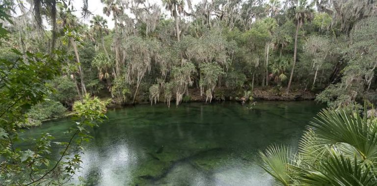 Blue Spring State Park: reserva natural perto de Orlando