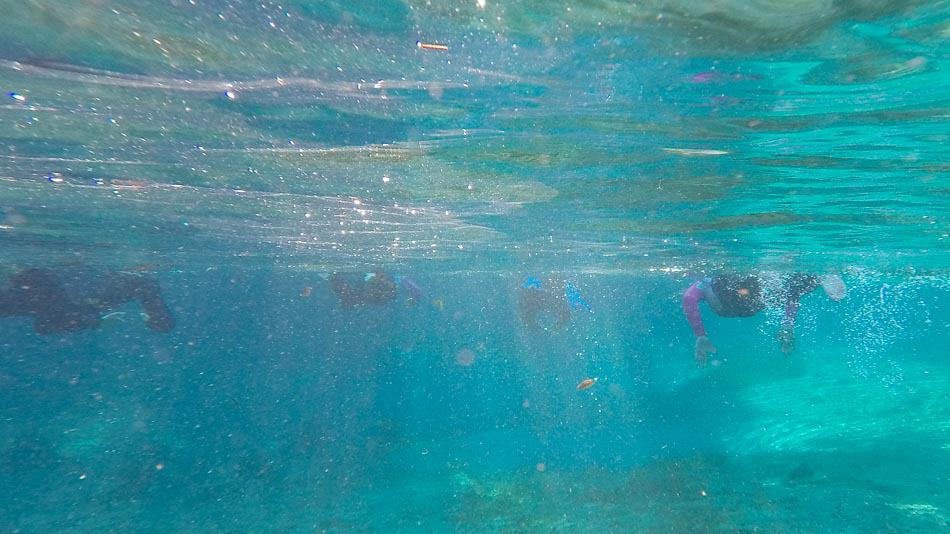 Mergulho nas Three Sisters Springs, em Crystal River