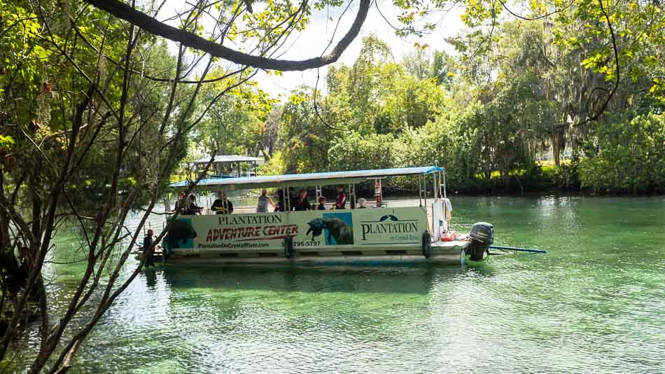 Passeio de barco para nadar com peixes-boi em Crystal River