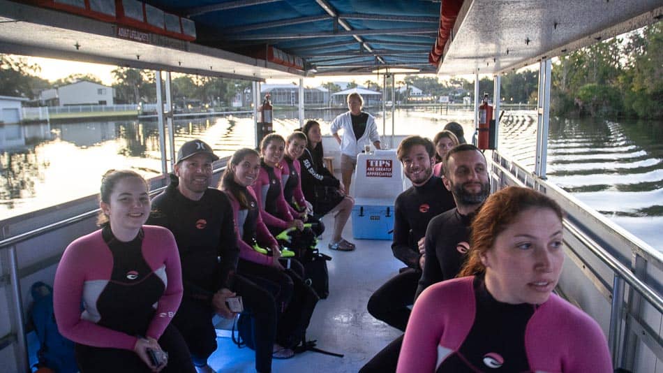 Passeio de barco para nadar com peixes-boi