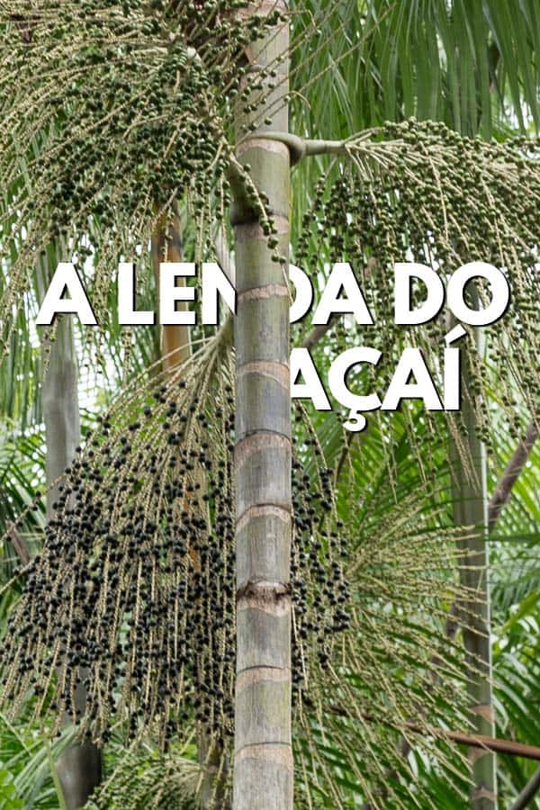 Conheça a lenda do açaí, o fruto que é um verdadeiro rei da Amazônia e cujo nome significa 'fruta que chora'. 