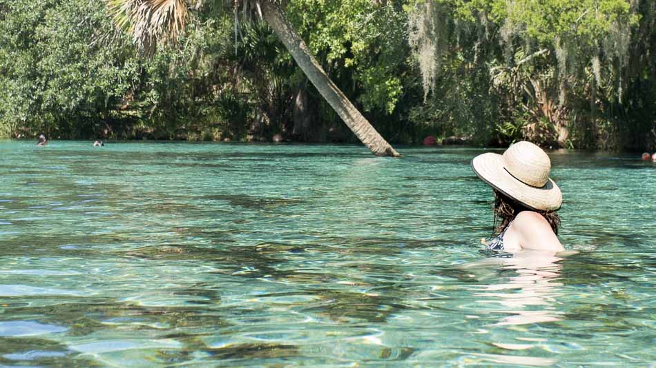 Dica de o que fazer em Ocala: Silver Glen Springs