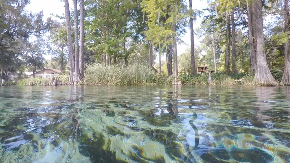 As águas transparentes do Rainbow River, em Ocala