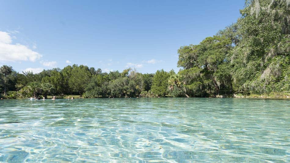 Dica de o que fazer em Ocala: Silver Glen Springs