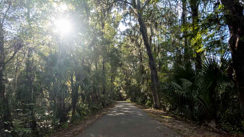 Dica de o que fazer em Ocala: trilha Dunnelon