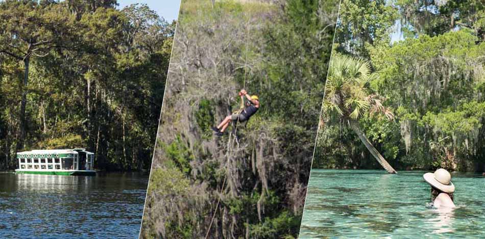 As melhores dicas de o que fazer em Ocala, na Flórida