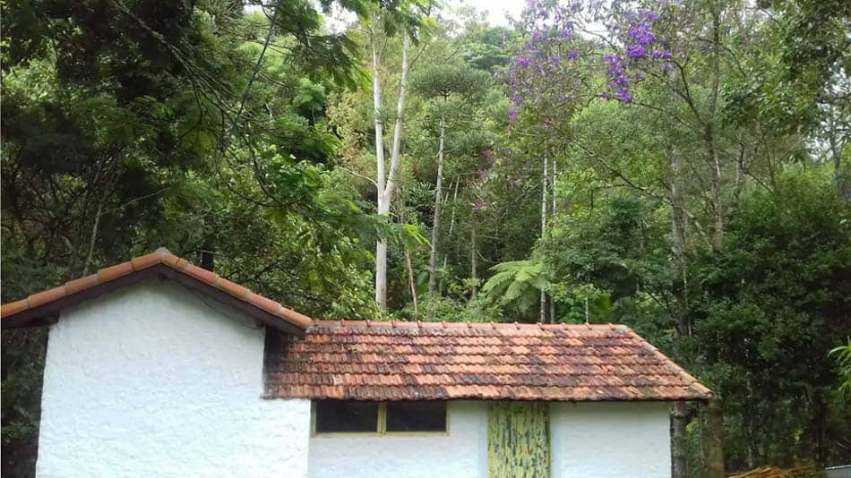 +25 dicas de Airbnb em São Francisco Xavier