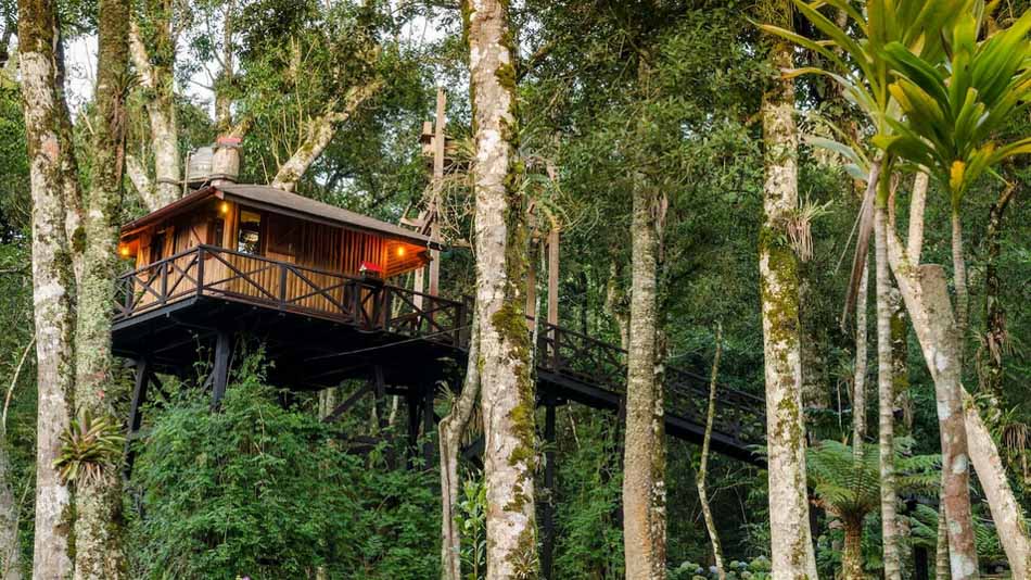 Dicas de Airbnb em Monte Verde: Casa na árvore