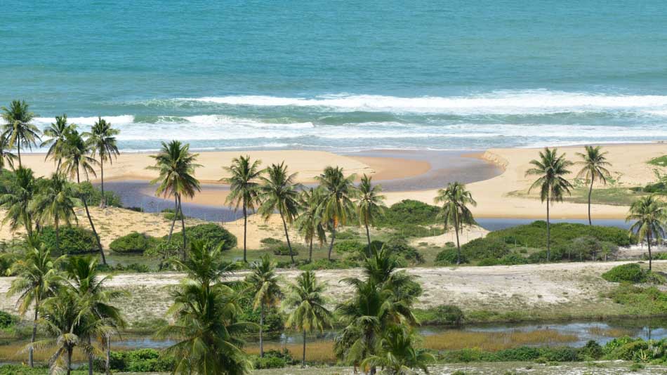 Guia completo do litoral norte da Bahia