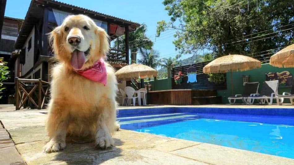 Pousadas pet friendly: Pura Vida