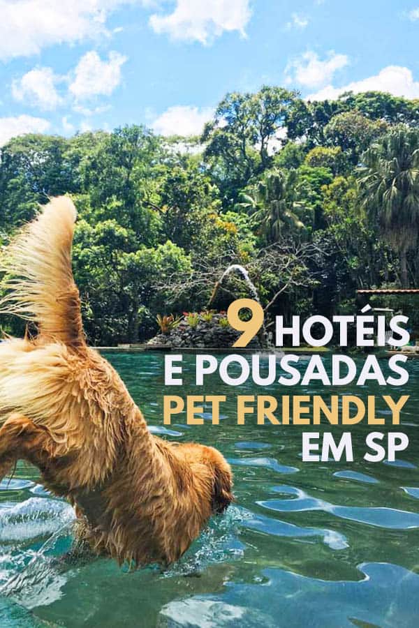 Hotéis e pousadas pet friendly em SP 9 super dicas!