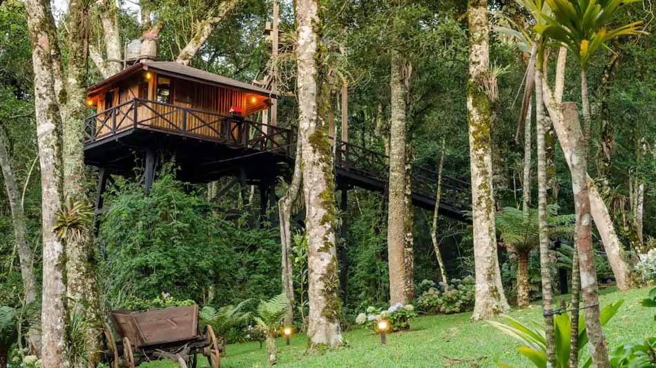 Casa da árvore na montanha para alugar no Airbnb