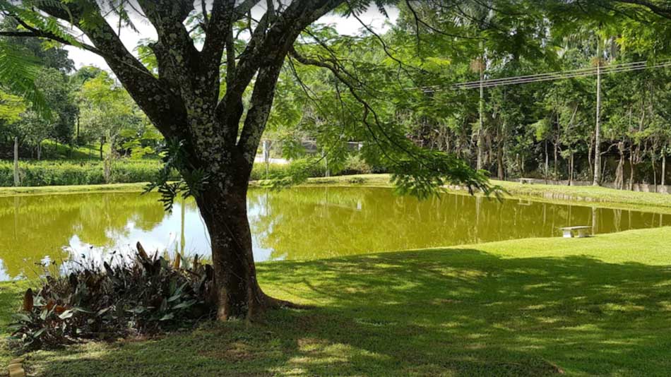 Chácara para alugar no interior de SP