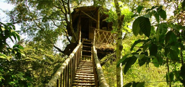 11 incríveis casas na árvore para alugar no Brasil