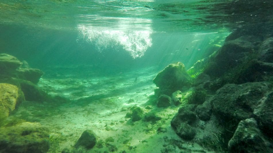 Mergulho em Three Sisters Springs