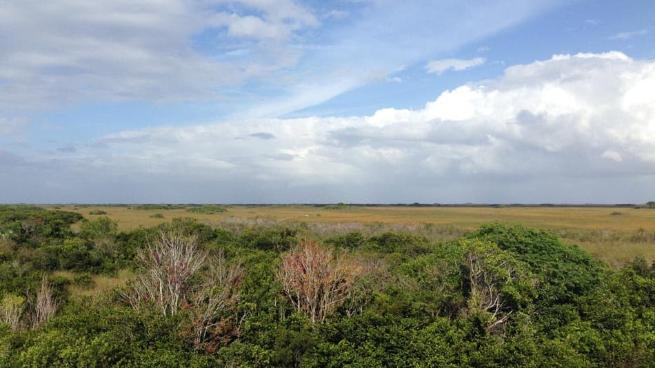 Paisagem no Everglades National Park