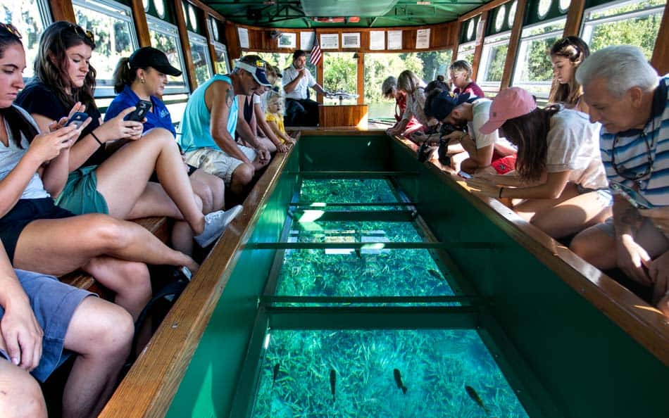 Passeio de barco em Silver Springs