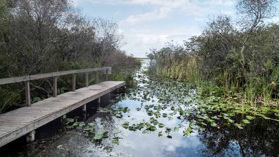 Maravilhas naturais imperdíveis nos Everglades