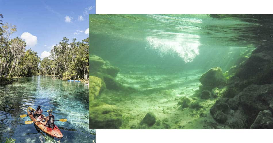 Three Sisters Springs perto de Orlando