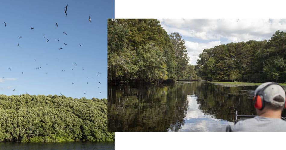 Passeios de airboat em Crystal River perto de Orlando