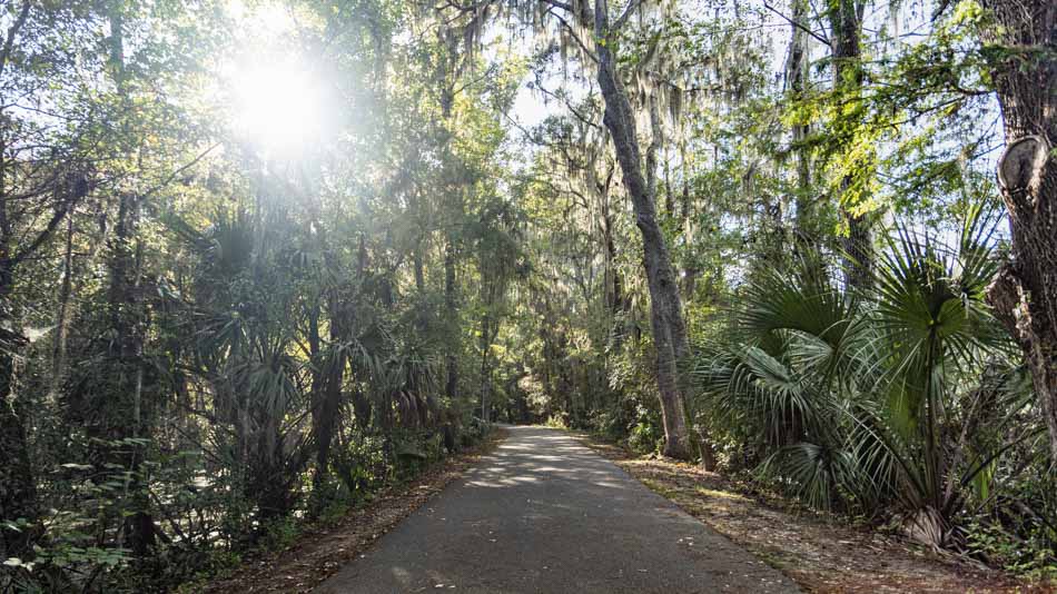 Trilha na natureza perto de Orlando