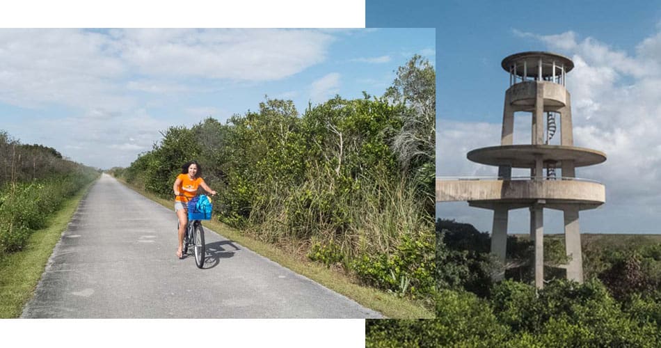 O que fazer na Flórida: trilha de bicicleta nos Everglades